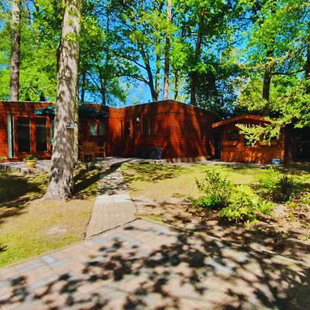 Wooden Nature Chalet - Dennenrhode * Doornspijk