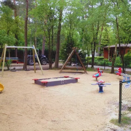 Chalet Wooden Nature Chalet - Dennenrhode