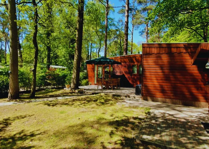 Wooden Nature Chalet - Dennenrhode