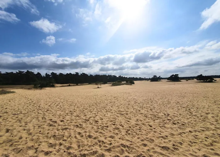 Wooden Nature Chalet - Dennenrhode Horská chata