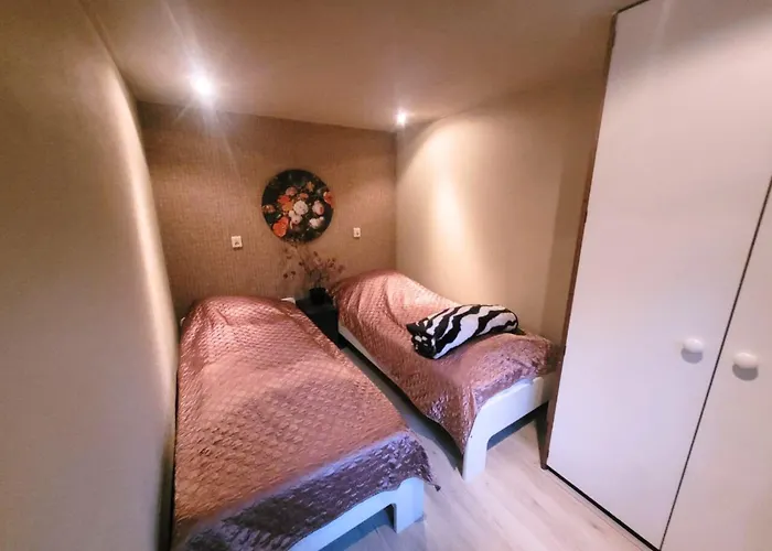 Wooden Nature Chalet - Dennenrhode