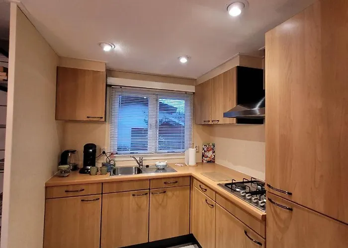 Wooden Nature Chalet - Dennenrhode Horská chata Doornspijk